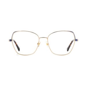 Perceptive Panes